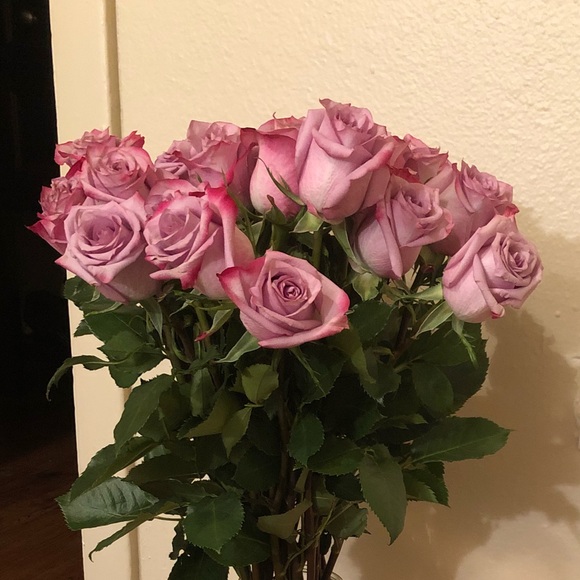 Meet your Posher, Darya - Picture 2 of 2